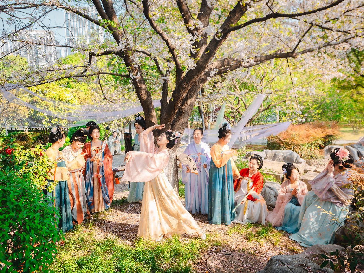 Hanfu enthusiasts Spring in Wuhan