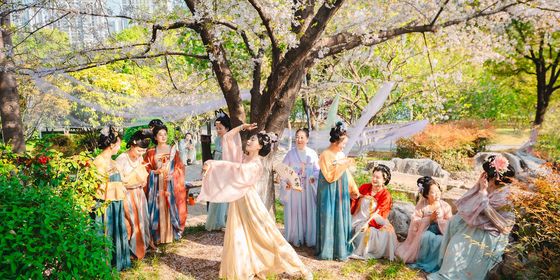 Hanfu enthusiasts Spring in Wuhan