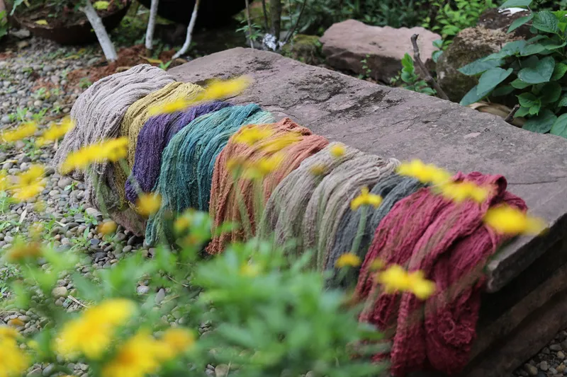 Herbs create natural dyes in a surprising palette of colors