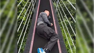 画板 41