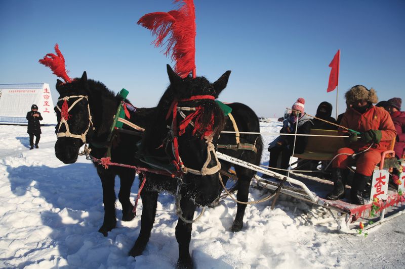 Sleigh rides are a popular activity for families with kids at the lake