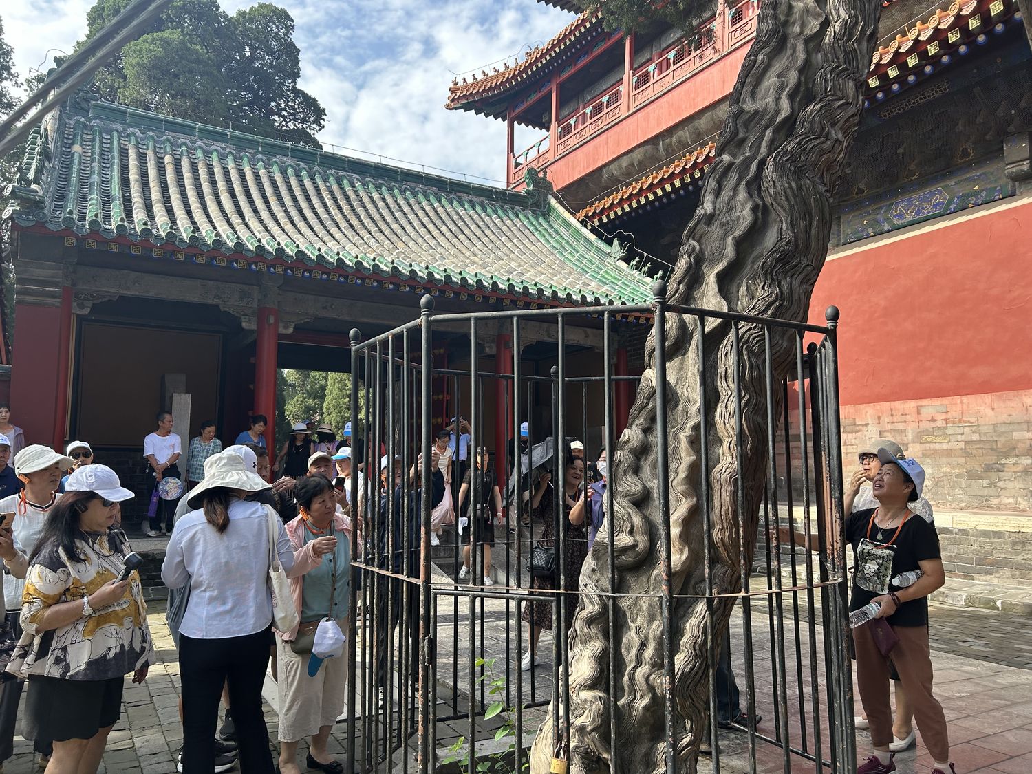 ancient trees, Qufu, Emperor Qianlong, Confucius Temple