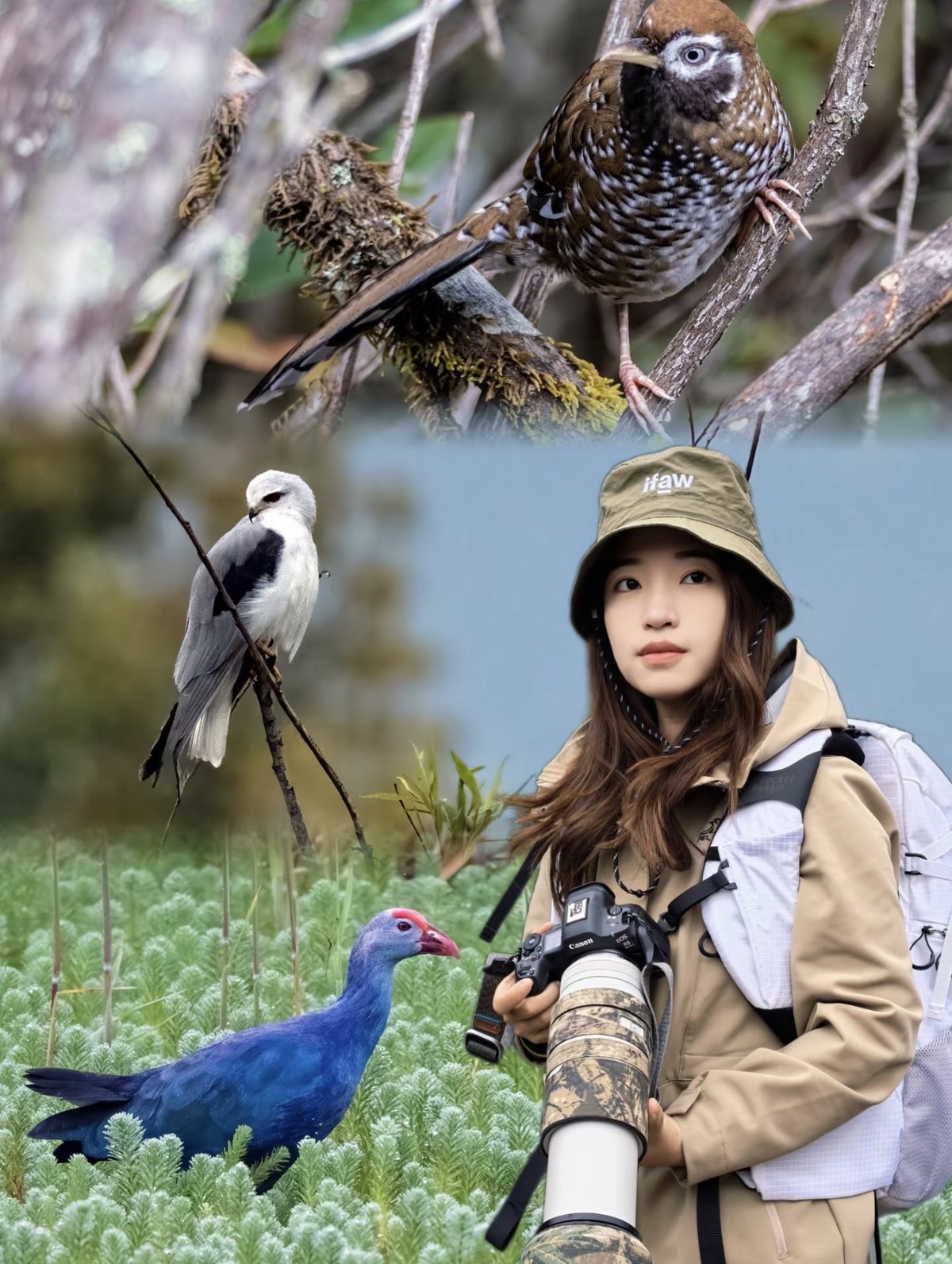 Xu Keyi often shares birding knowledge and bird photos she has captured online with her fans