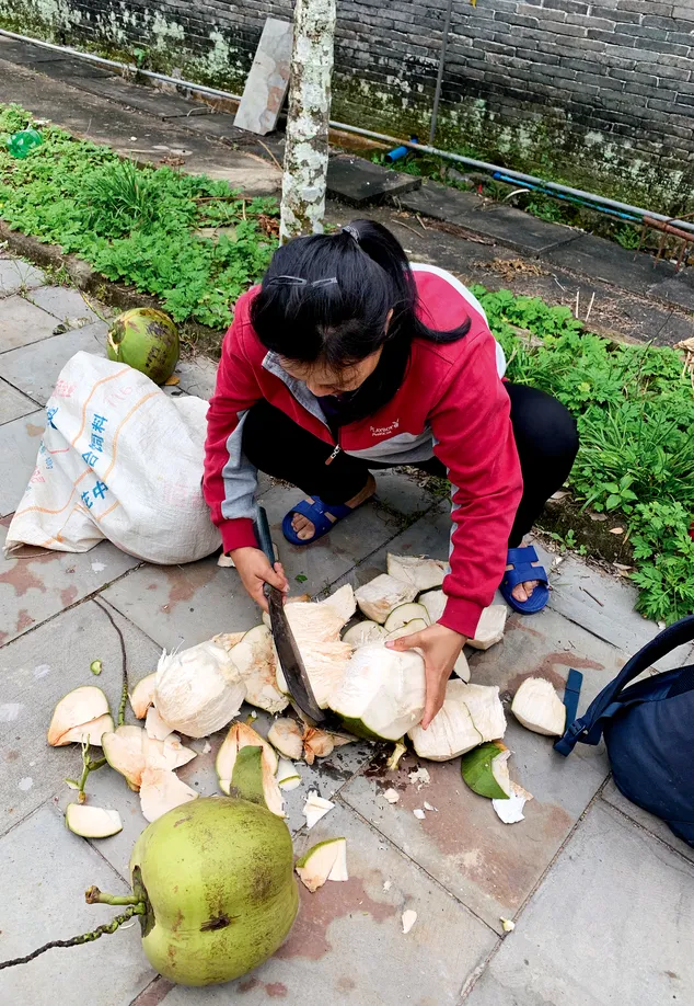 Mother Wang chops up coconuts with a small machete and generously insists that I bring them with me on my journey south—free of charge