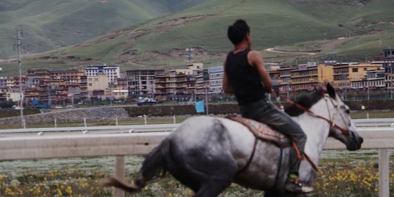 A rider in Litang