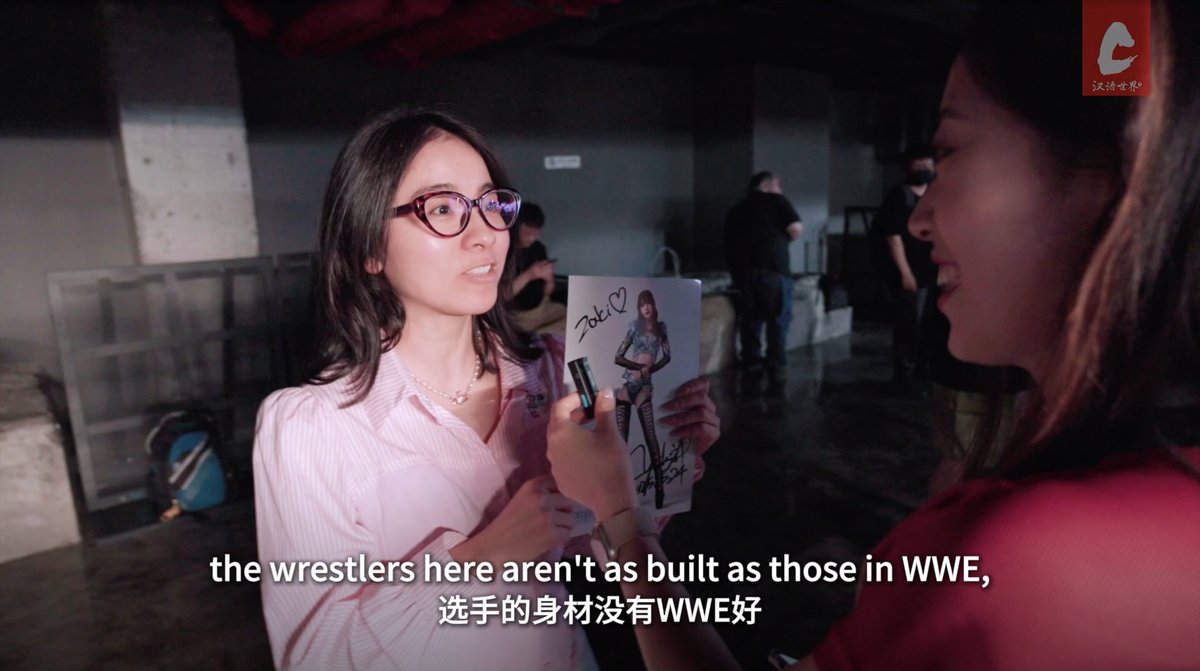 Pro wrestling enthusiast