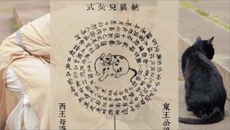 截屏2025-11-14 下午6.15.44