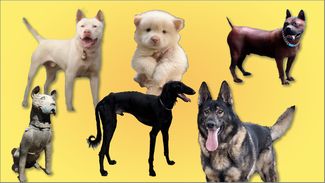 截屏2026-04-30 下午5.22.39