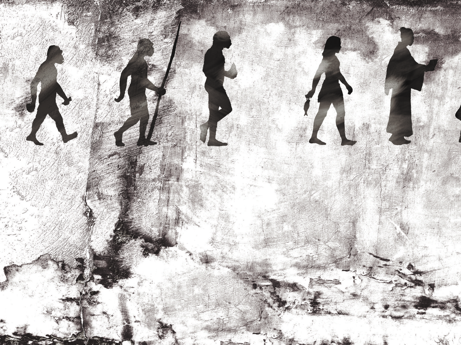 sino-sapiens-MB.png