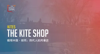 The Kite Store