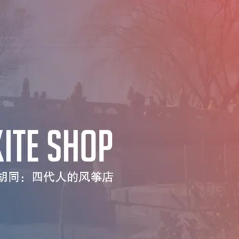 The Kite Store