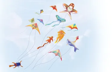 Kites cover