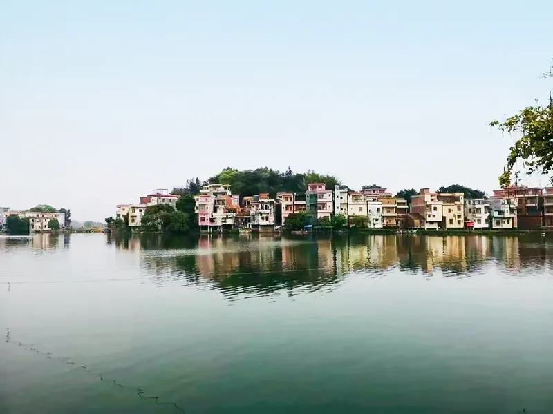 The fishponds in Long’s village bring villagers thousands of yuan per year in dividends (Long Yuting)