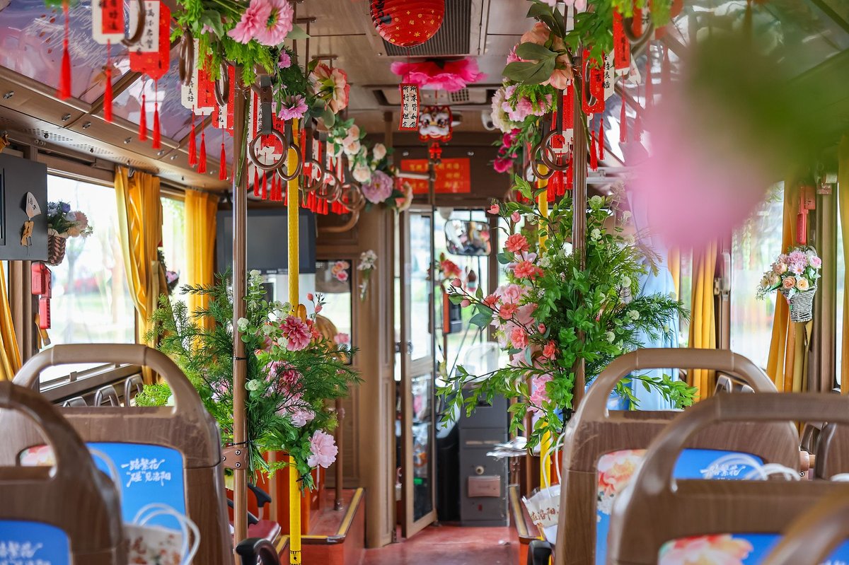 peony bus, Luoyang, spring