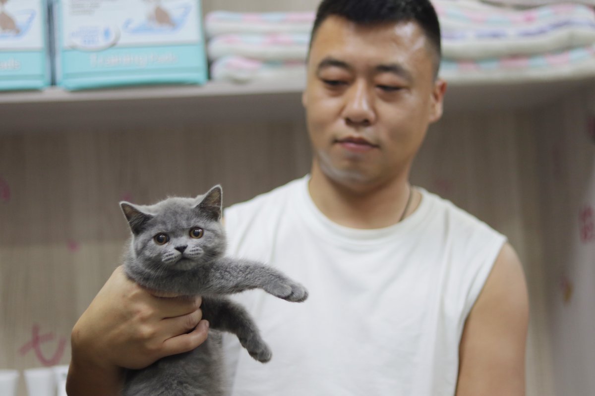 Ni Xiangyang with a kitten