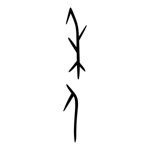 the character 年 in the oracle script