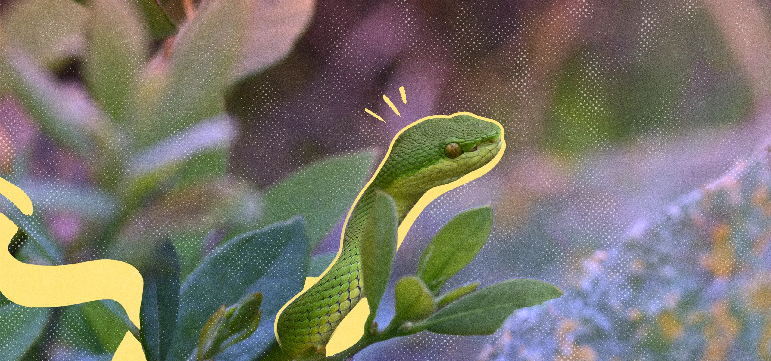 OTC-snake