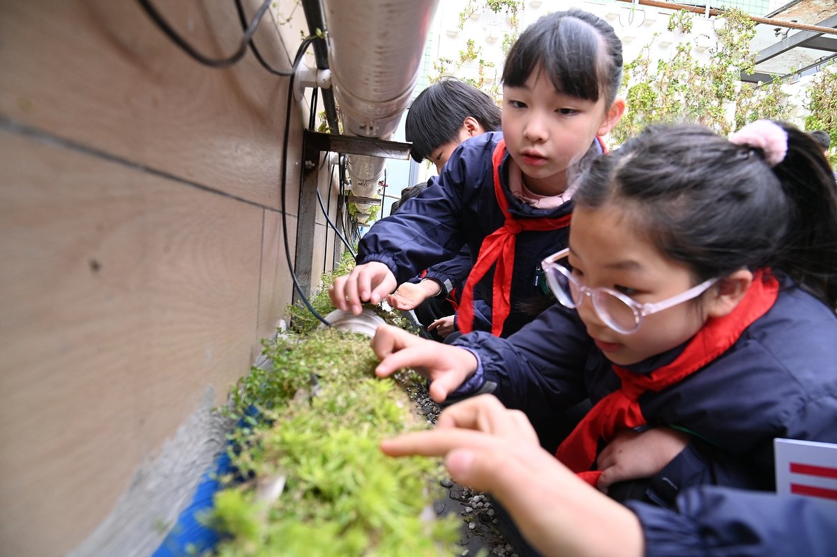 Chinese students researching plants outdoors in Chongqing