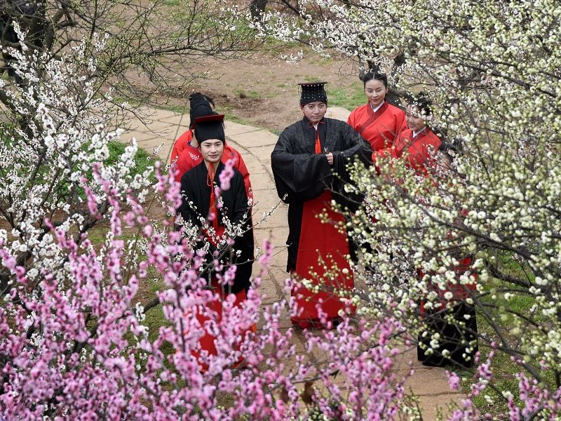 Peach-blossom-master.jpg