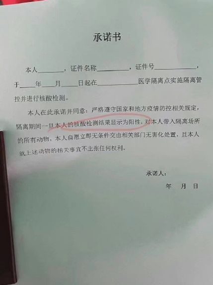 shanghai hotel euthanasia agreement