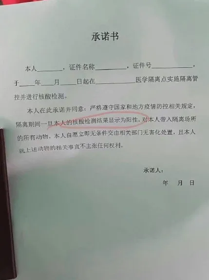 shanghai hotel euthanasia agreement