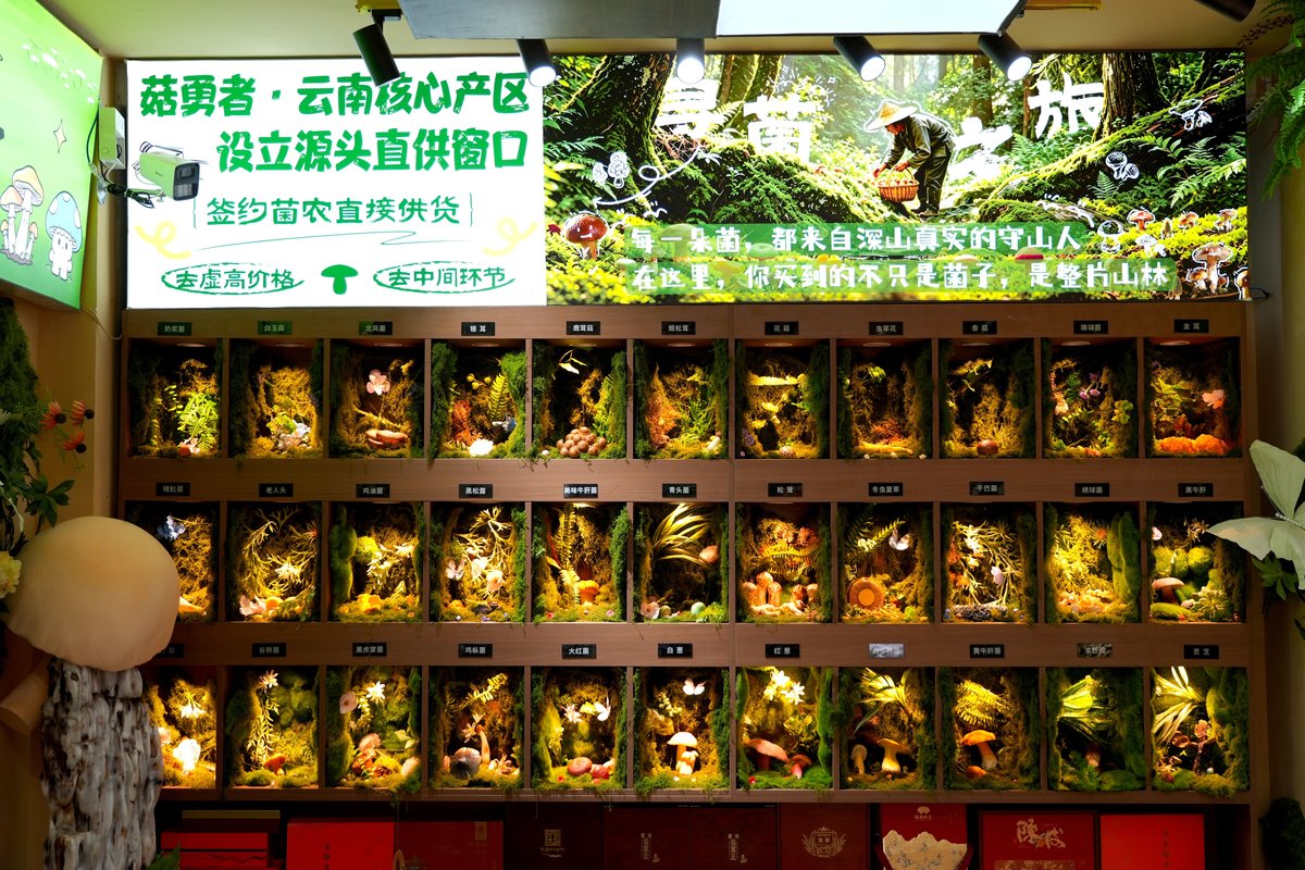 A display of some of the most popular local mushroom varieties in the Mushuihua Wild Mushroom Market