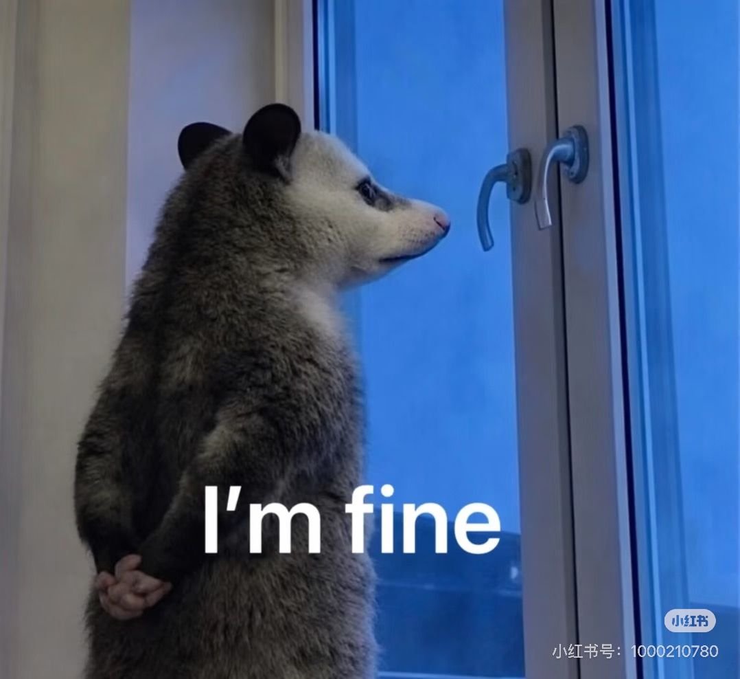 The possum meme is now widely used among Chinese youth