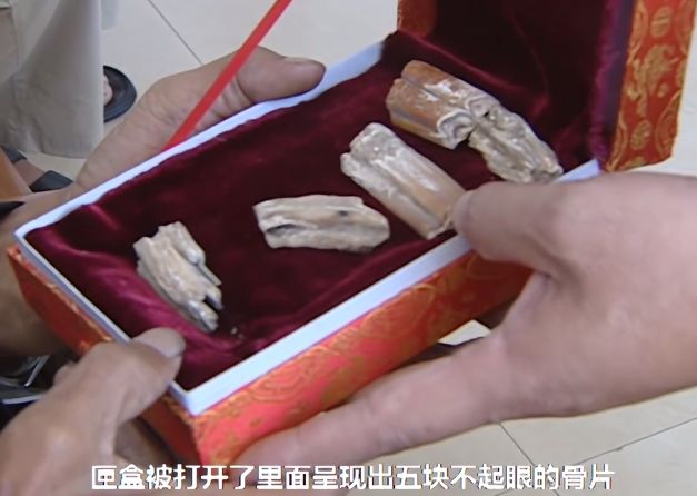 dragon bones in China, science tv shows in China, dragon sightings in China
