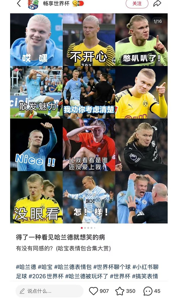 Erling Haaland’s popular Chinese memes on social media platforms
