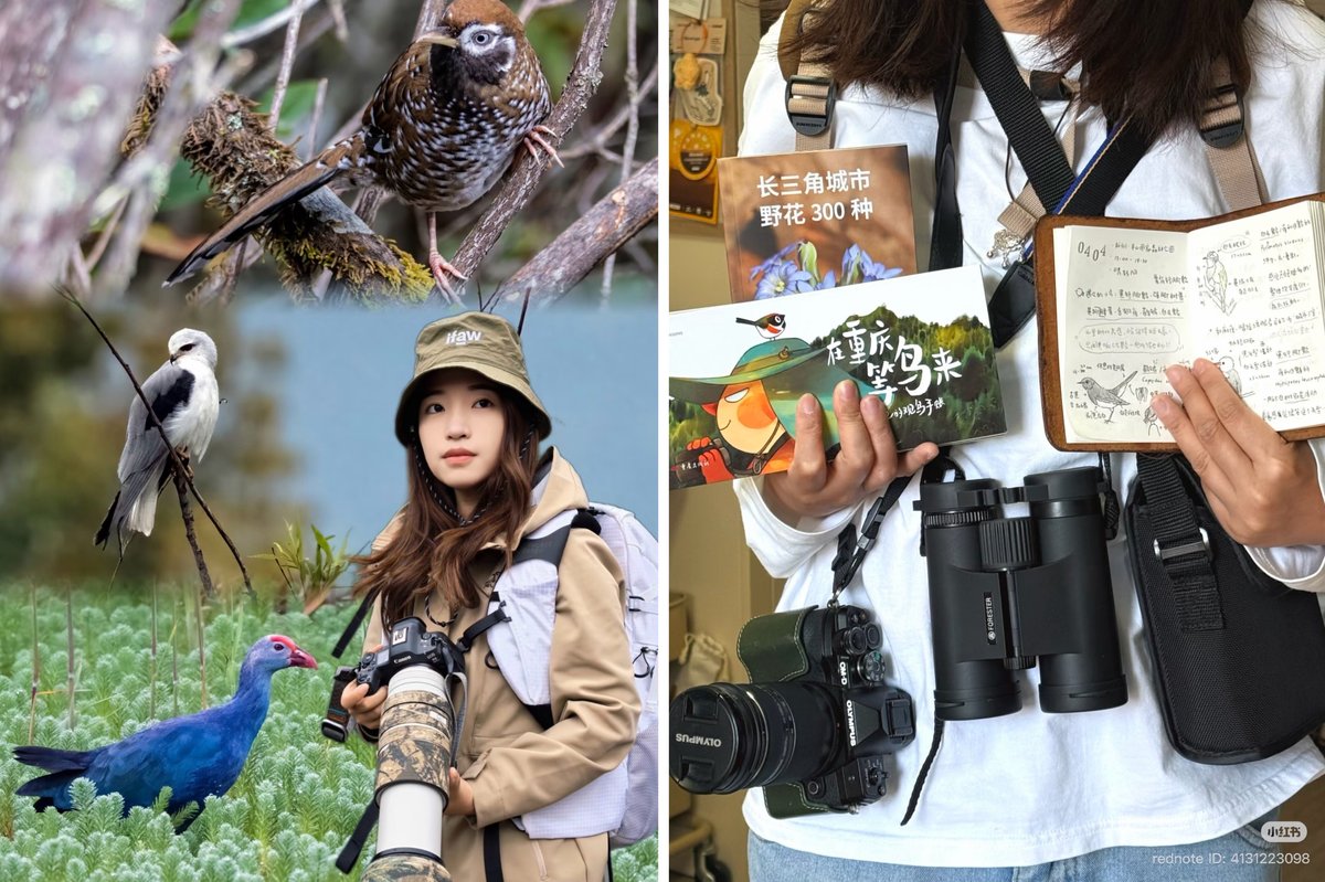 Xu Keyi often shares birding knowledge and bird photos she has captured online with her fans