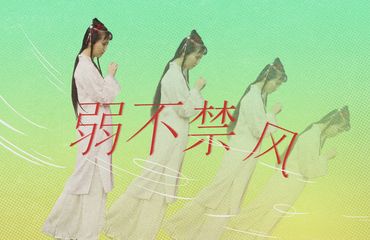 弱不禁风 拷贝(1)(1)