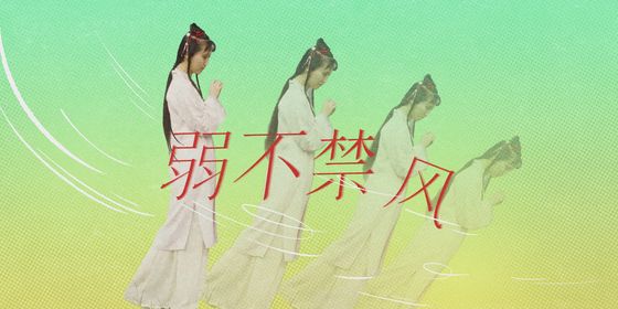 弱不禁风 拷贝(1)(1)