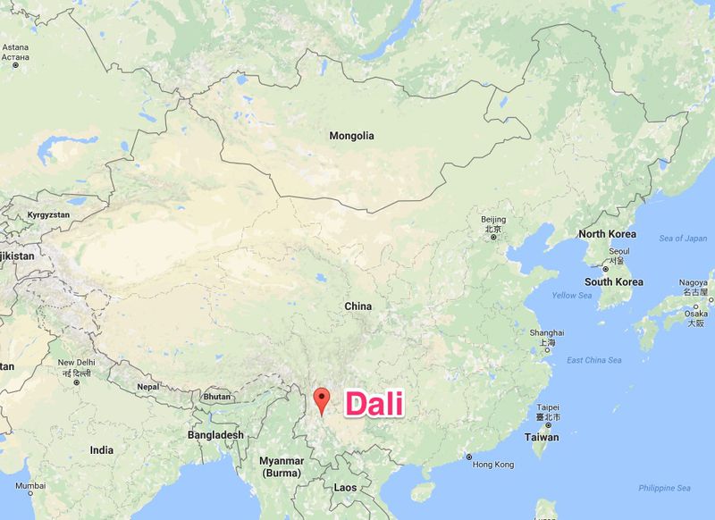 dali map