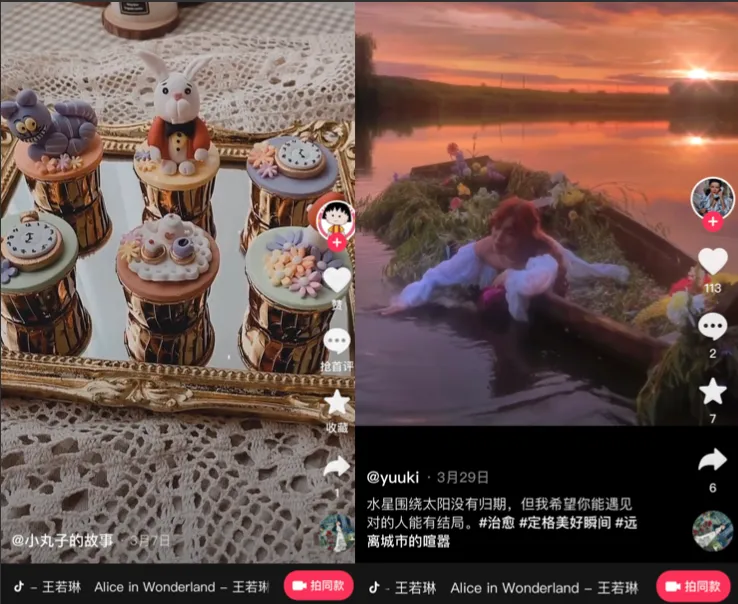 Two of 161,200 videos currently listed on TikTok featuring Wang's "Alice in Wonderland"