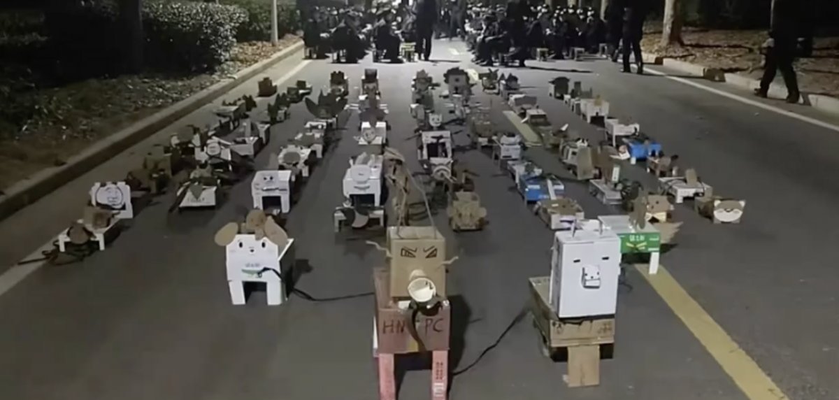 Crawling students, crazy talk, and cardboard dogs on Chinese campuses