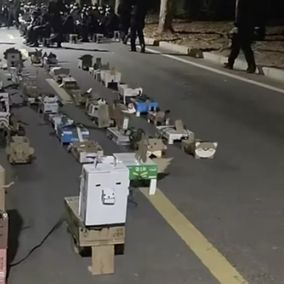 Chinese students cardboard pets