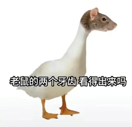 Meme of a rodent head found in student’s canteen food in Jiangxi