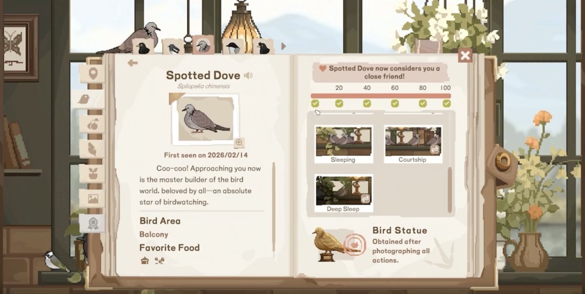 Birdwatching Notebook has also been praised for its educational value, China young birding generation