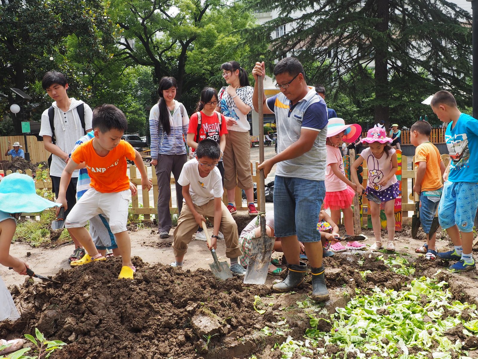 上海-百草园-以儿童为代表的居民正在积极参与花园种植