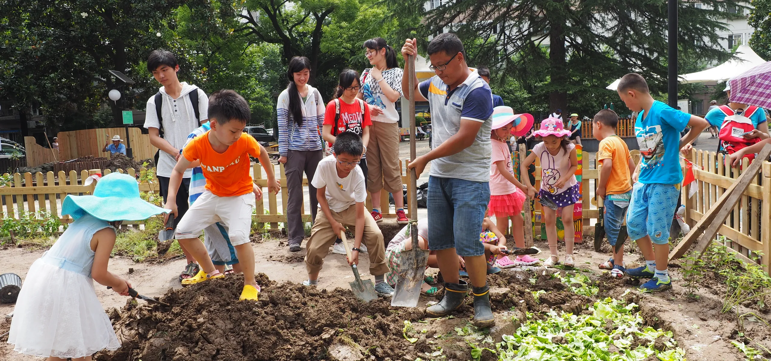 上海-百草园-以儿童为代表的居民正在积极参与花园种植