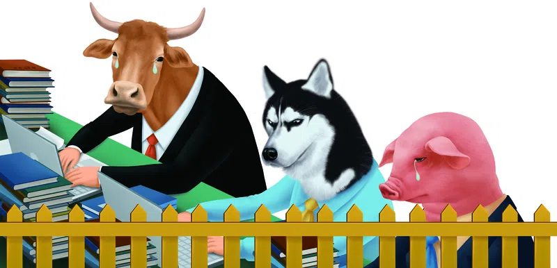 corporate livestock chinese meme