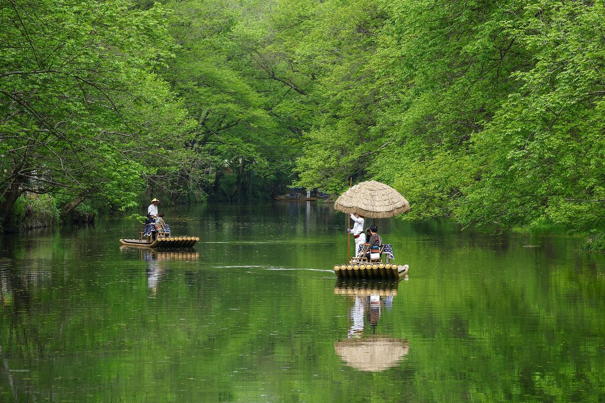visitor in the Xixinan Wetland, Spring scenery in China