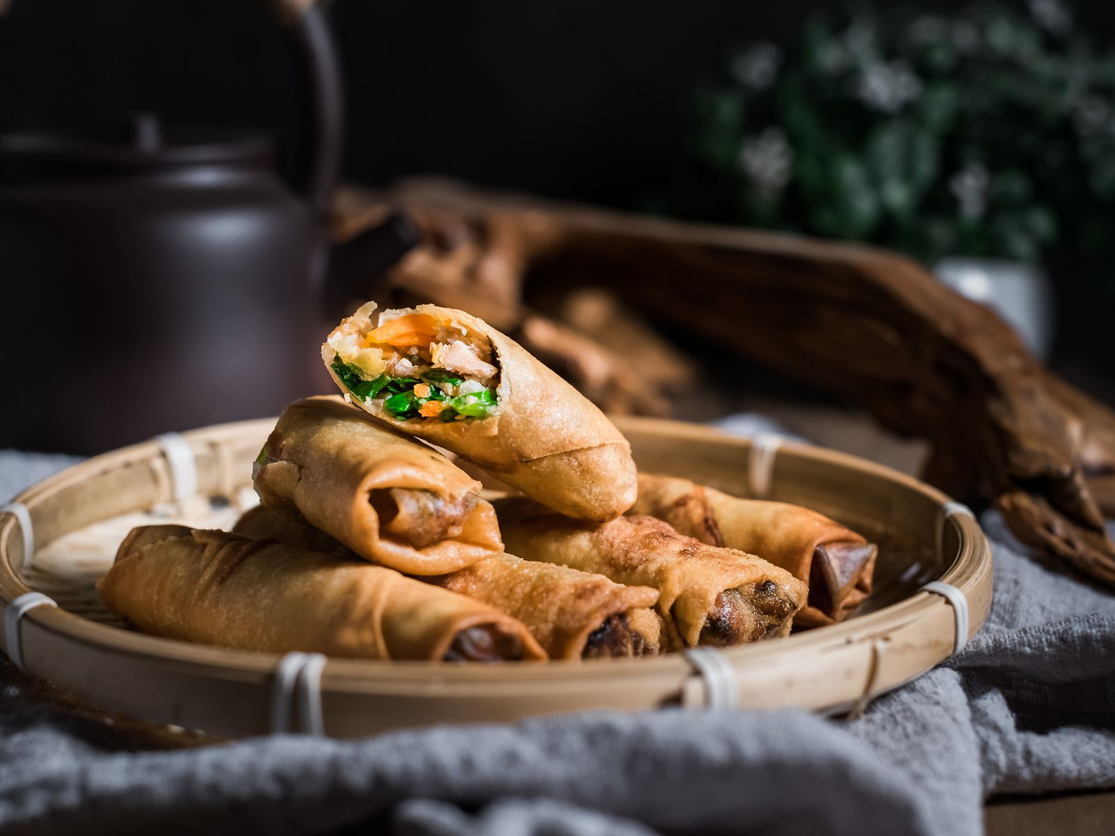 SpringItOn.VCG211321369388