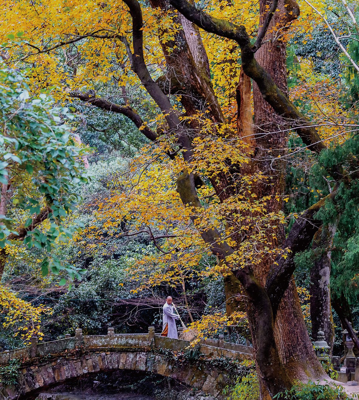 A Chinese monk sweeping autumn leaves off a stone bridge in Guoqing Temple, Zhejiang province, also known for its inspiring Tang dynasty poetry from Tiantai mountain