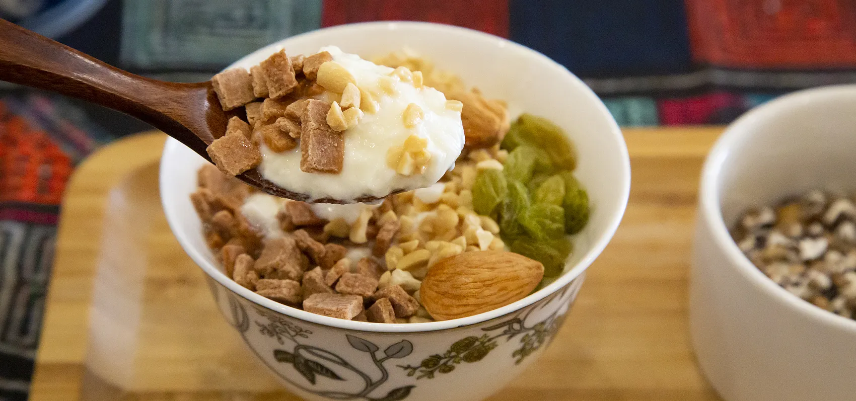 Tibetan Lhasa style yogurt