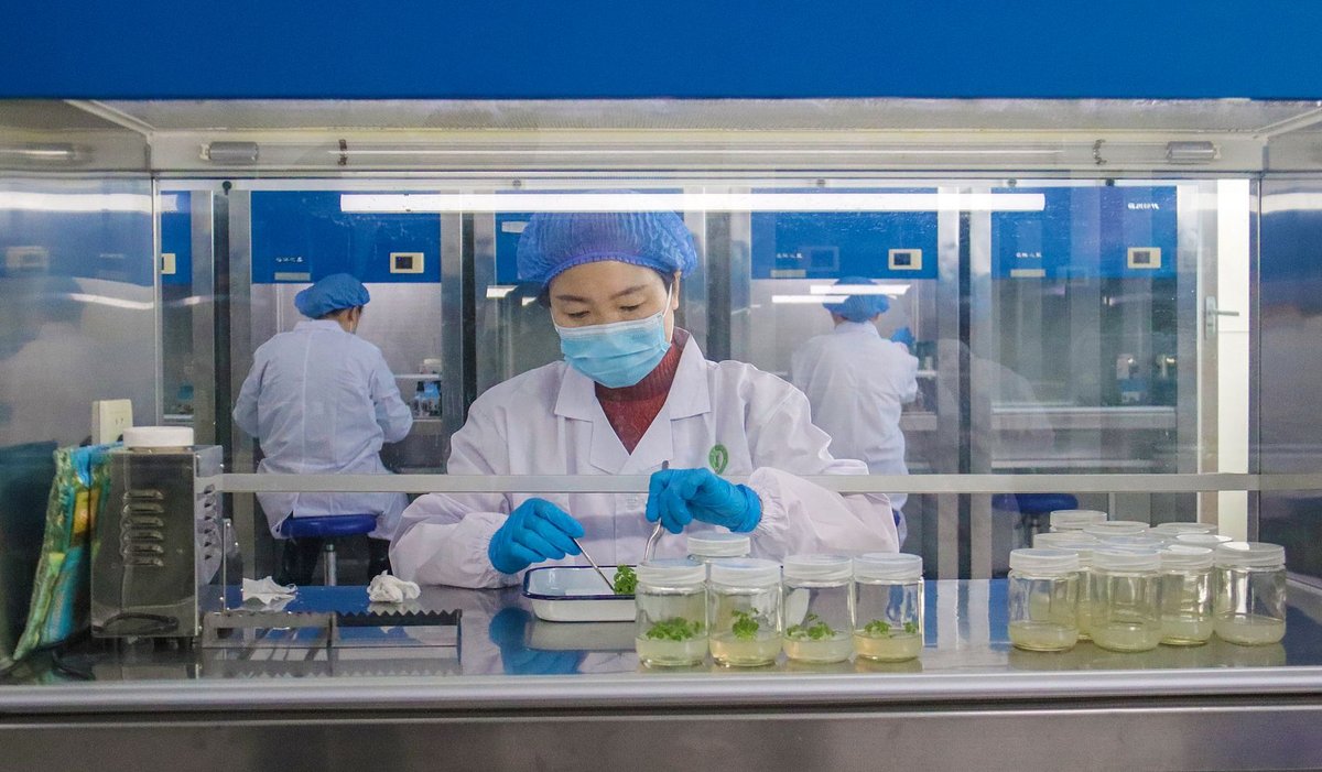 women in workplace support