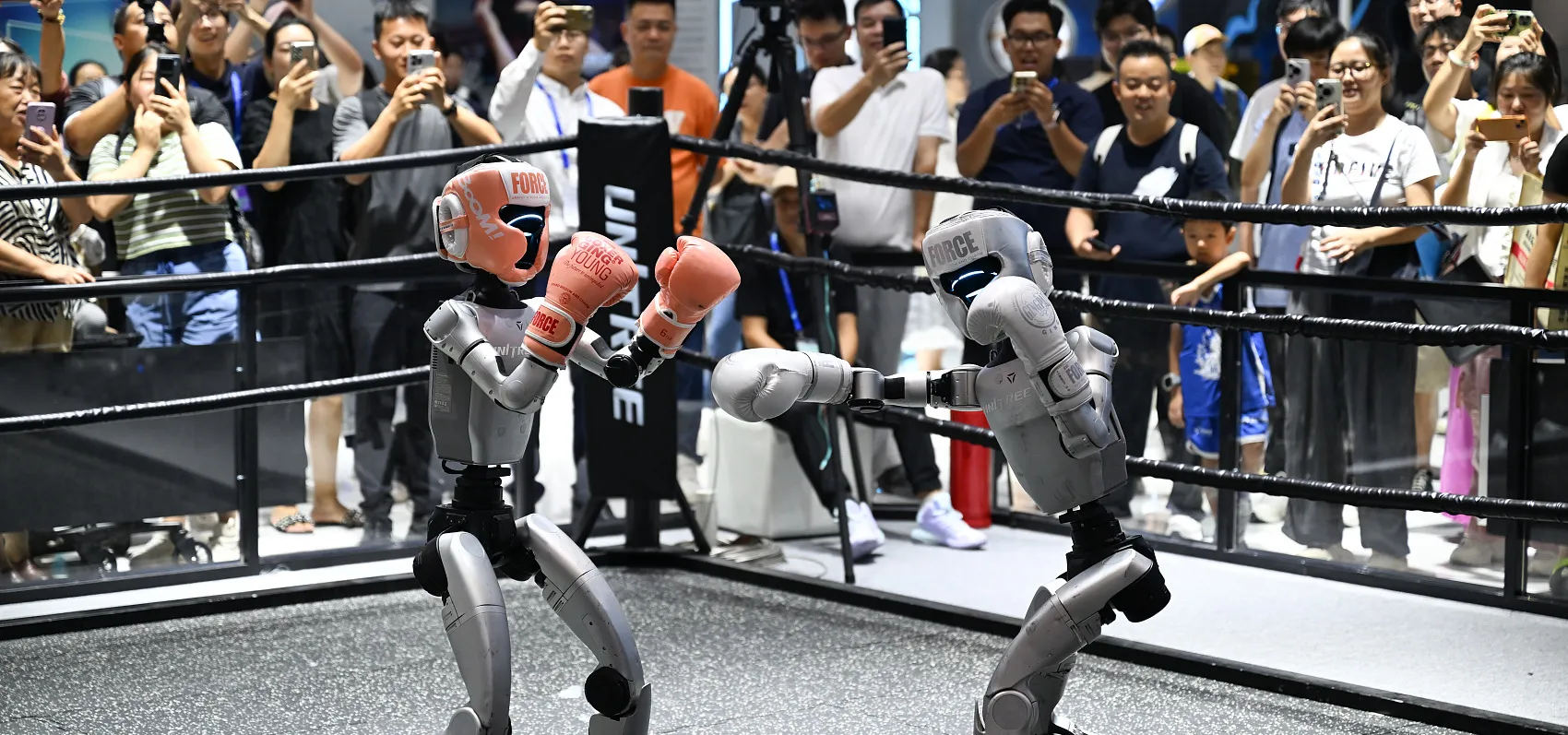 Unitree Robotics robots boxing in China