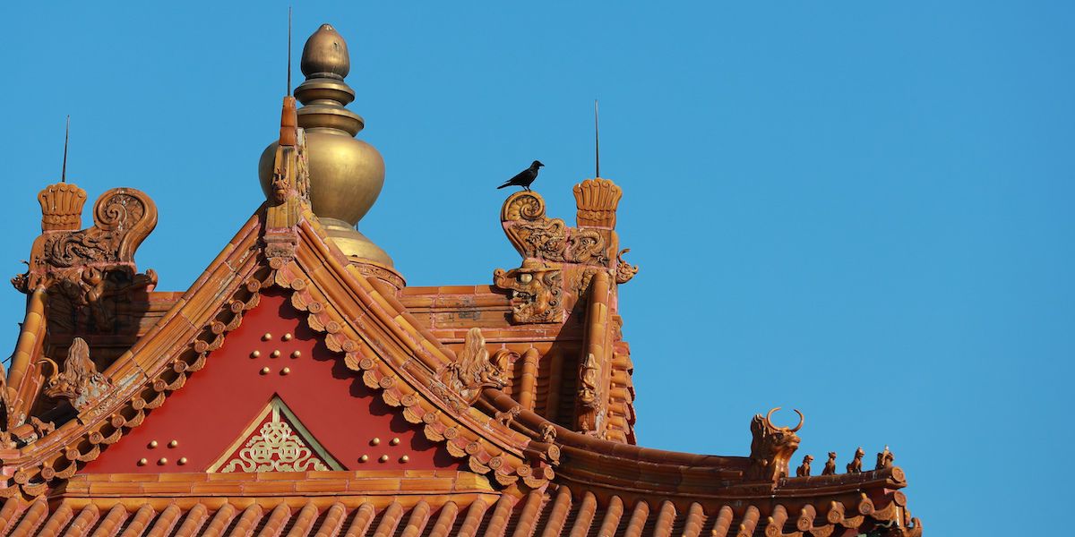 Rooftop Beasts The World of Chinese