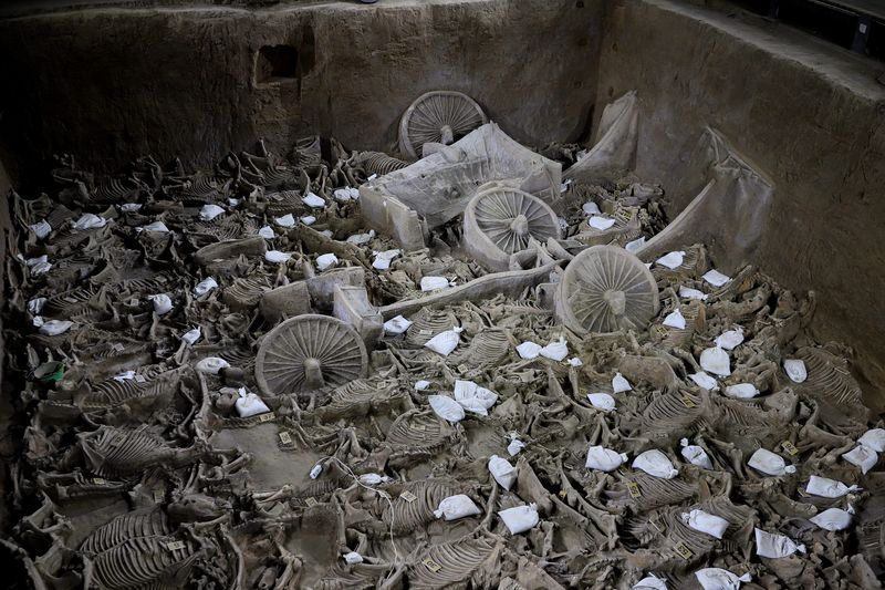 Pit found in Zhengzhou, Henan containing the remains of horses and carriages, funeral sacrifice in ancient china