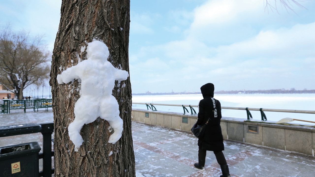Residents get creative with snow after a blizzard in Harbin, Heilongjiang